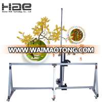 Outside Decoration Wall Photo Mural Printing Machine